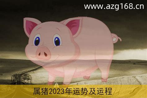 2024猪运程|属猪2024年运势及运程详解每月 2024年属猪人的全年运势